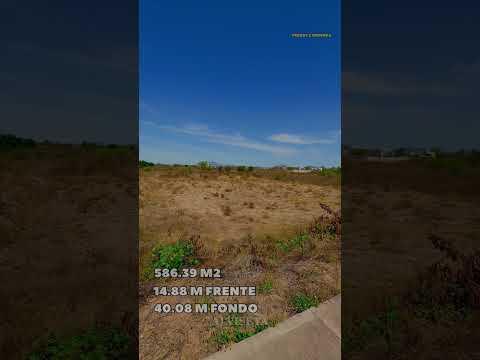 Previsualización del video