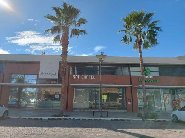 Foto de la galeria de imagenes
