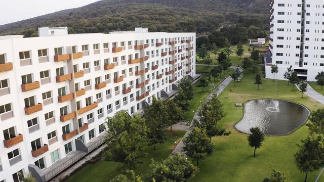 Foto de la galeria de imagenes