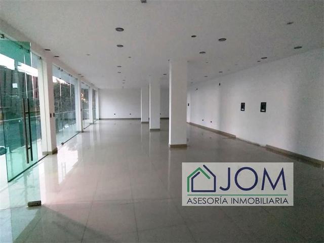 Foto de la galeria de imagenes
