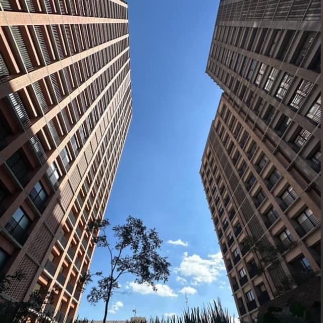 Foto de la galeria de imagenes