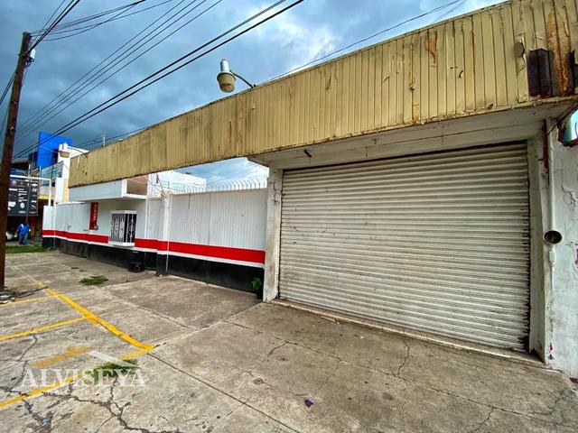 Foto de la galeria de imagenes