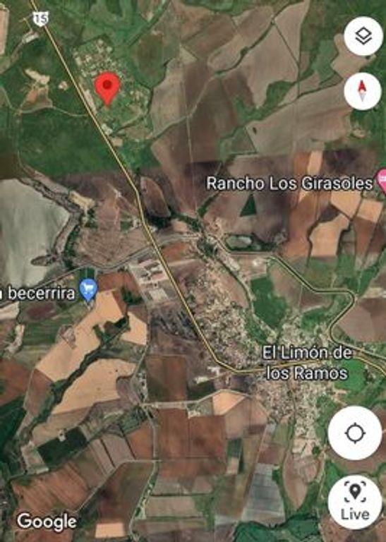 Foto de la galeria de imagenes