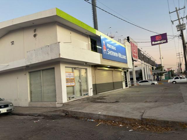 Foto de la galeria de imagenes
