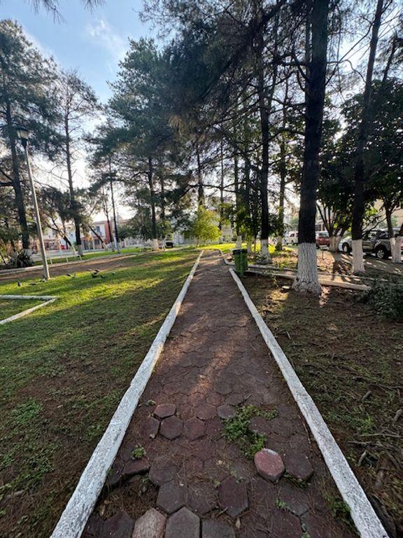 Foto de la galeria de imagenes