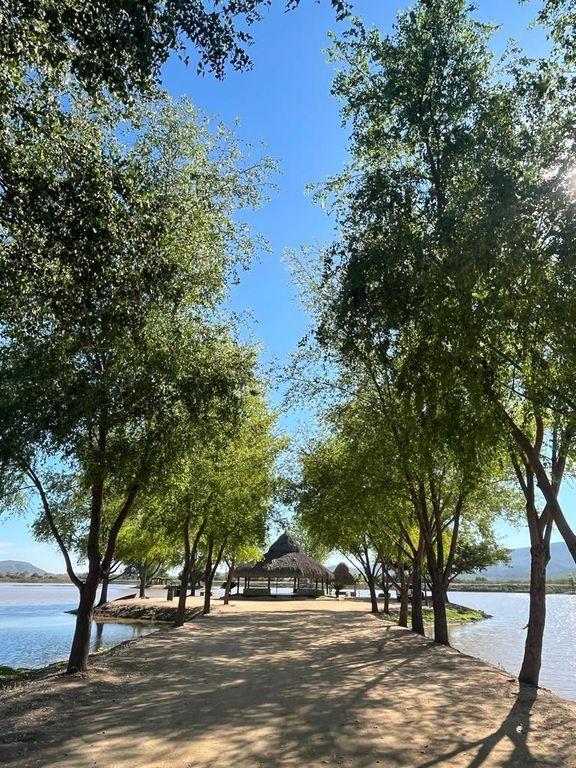 Foto de la galeria de imagenes