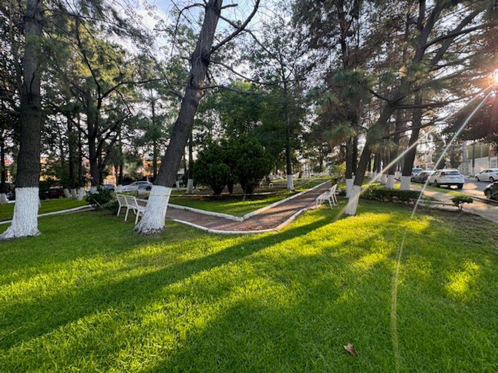 Foto de la galeria de imagenes